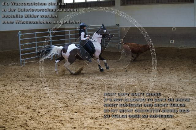 s_K3F01996.JPG